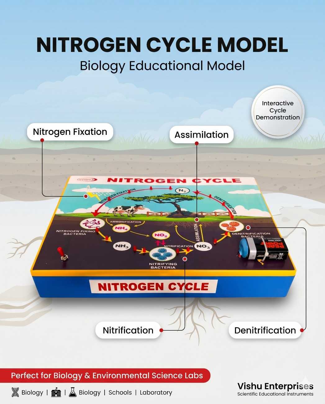 Nitrogen Cycle With LED